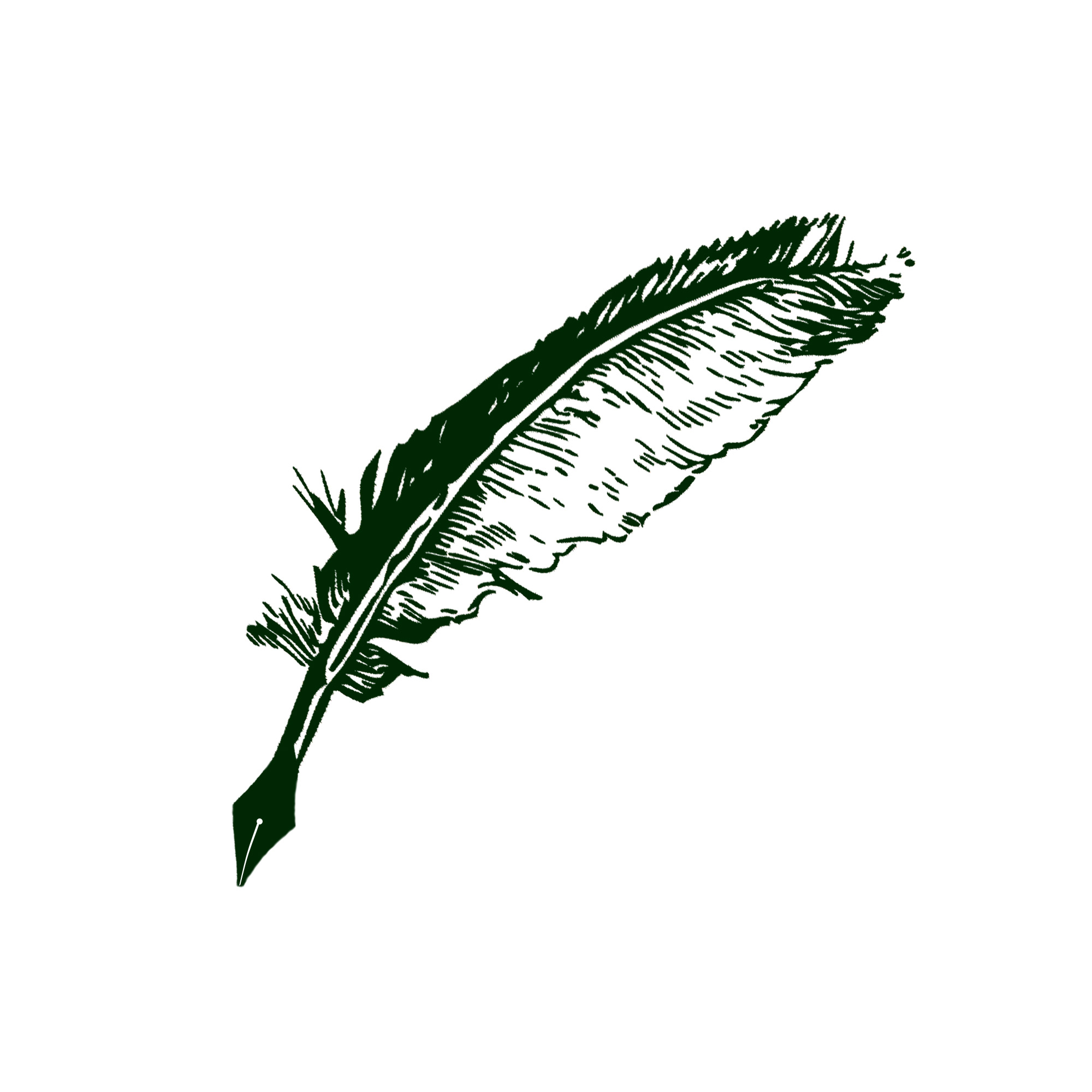 Feine Federn